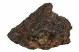 Polished Stony-Iron Mesosiderite Meteorite ( g) - Chile #242897-1